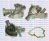 AQUAPLUS 85-1360 Water Pump